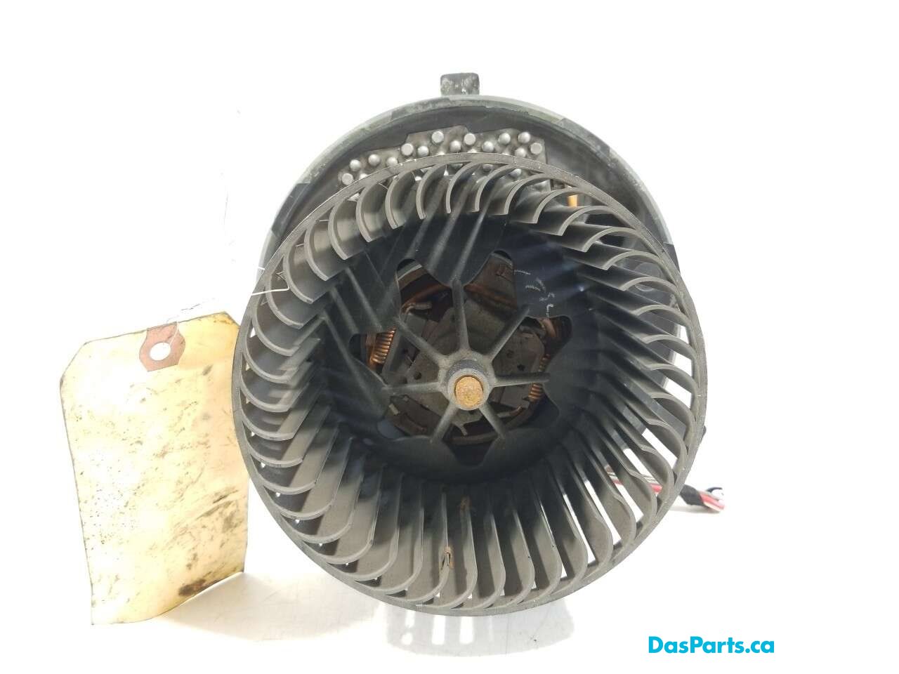 Blower Motor