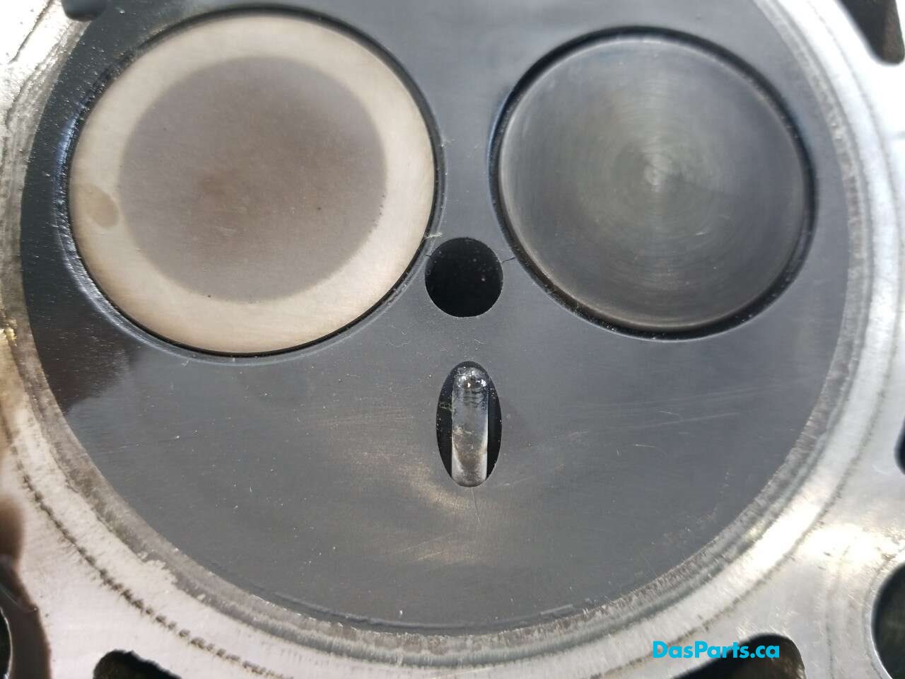 Engine Cylinder Head