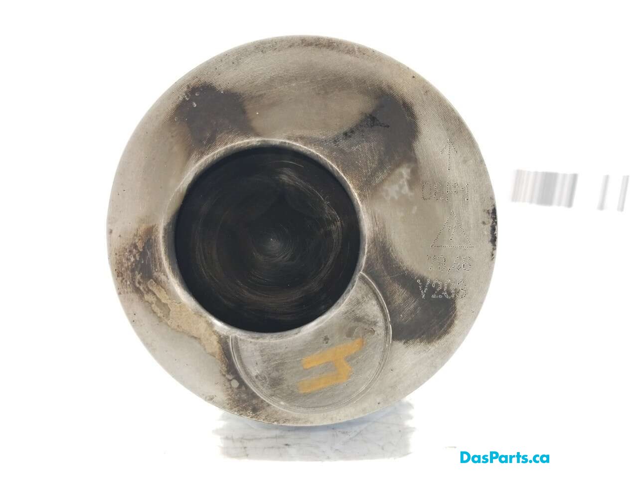 Piston & Rod Assembly 4