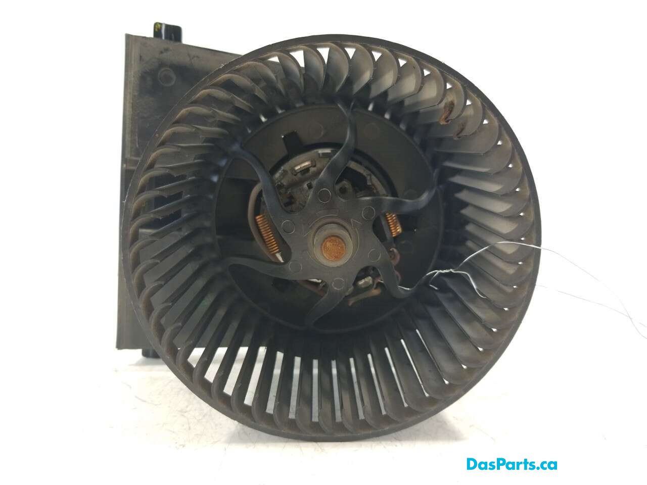 Blower Motor