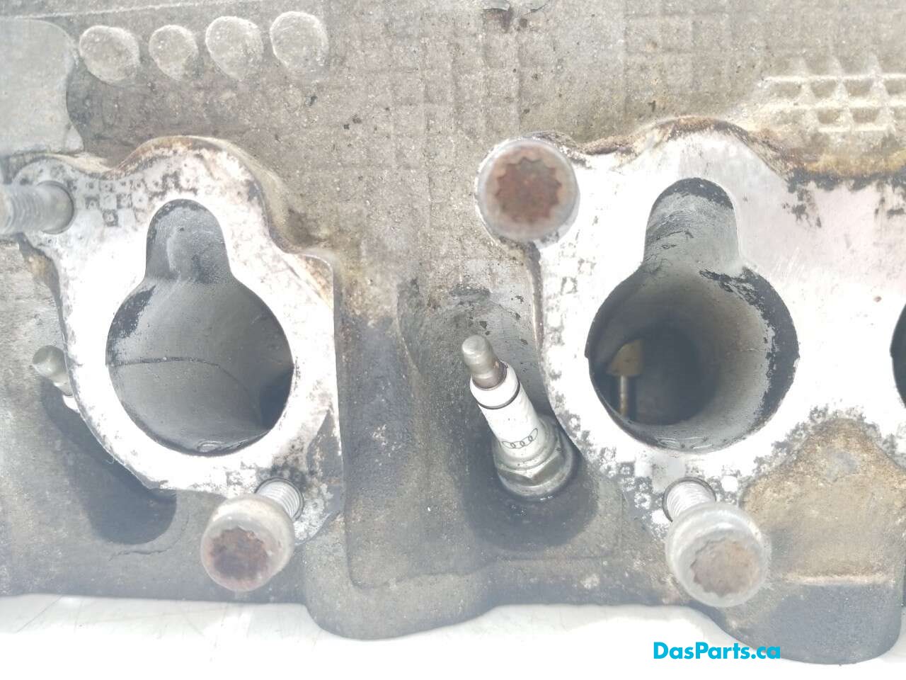 Engine Cylinder Head