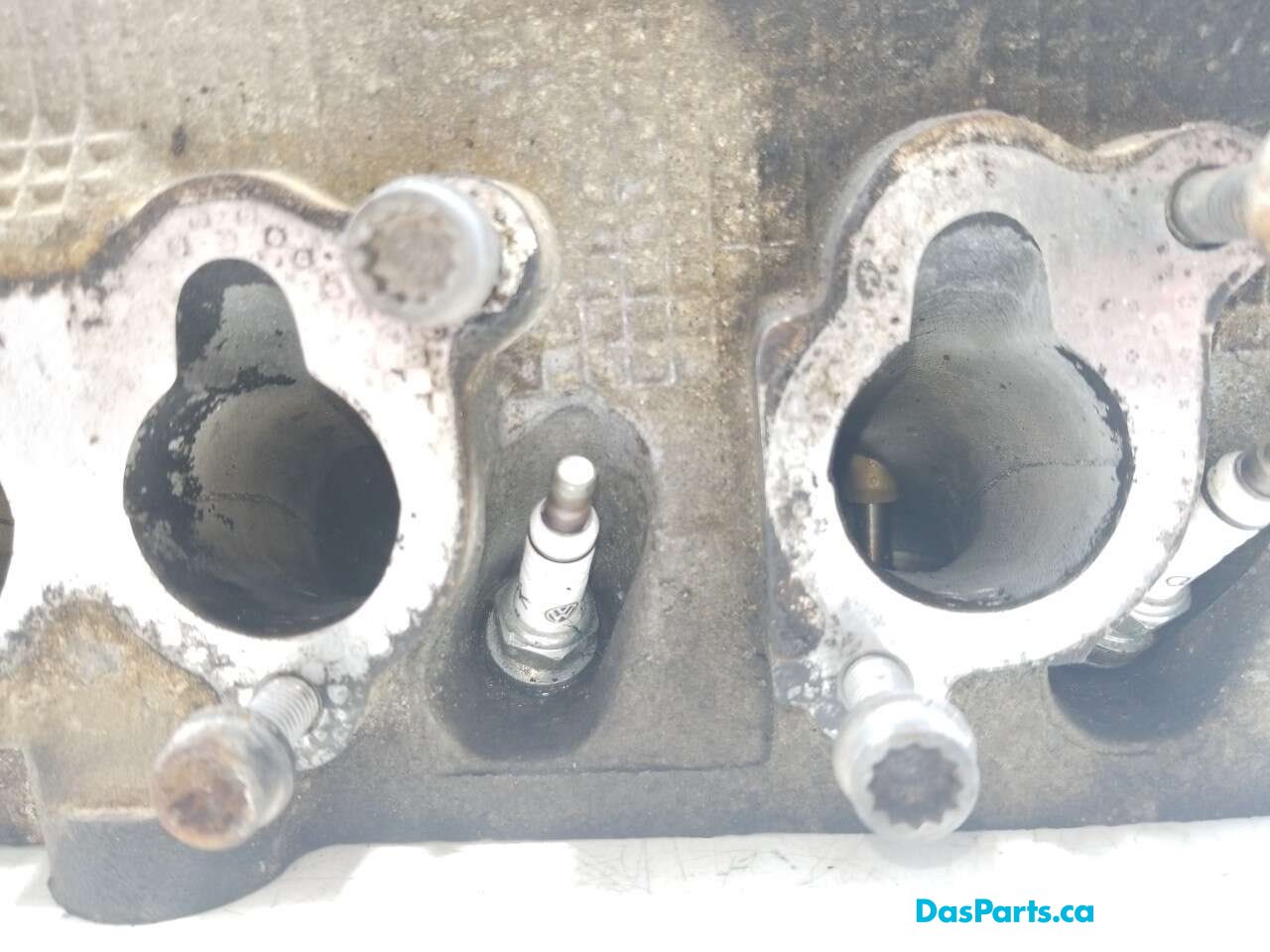 Engine Cylinder Head