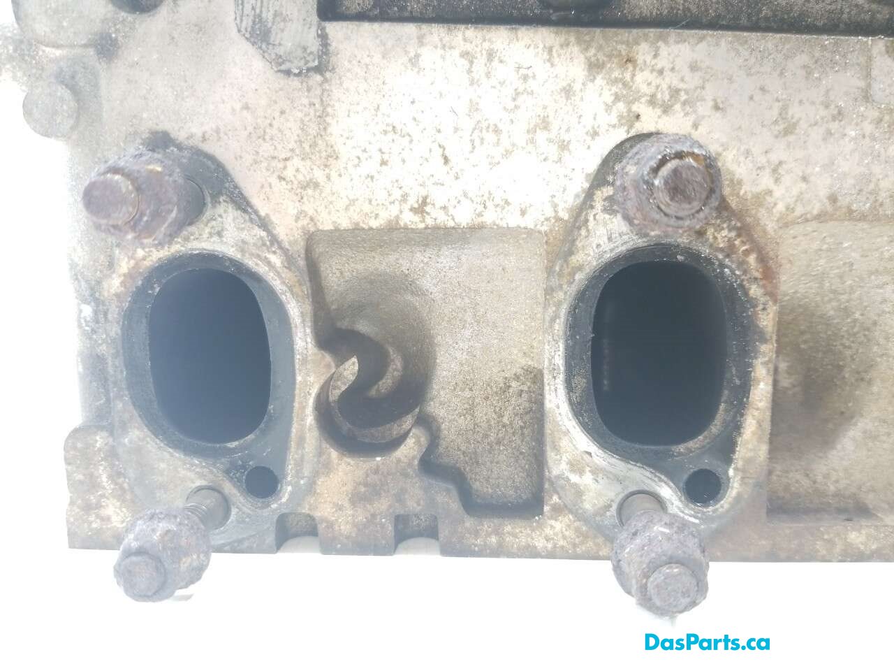 Engine Cylinder Head