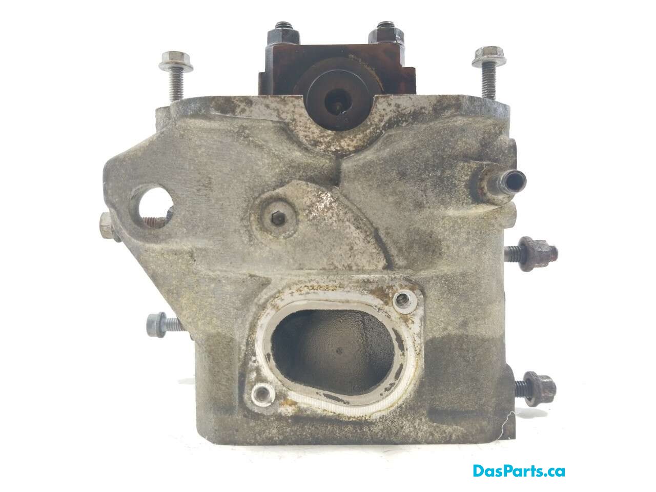 Engine Cylinder Head