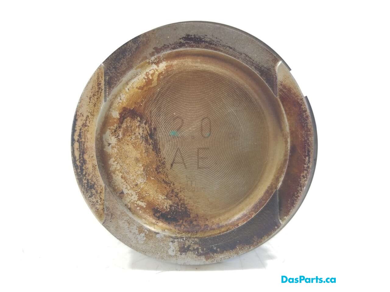 Piston & Rod Assembly 1