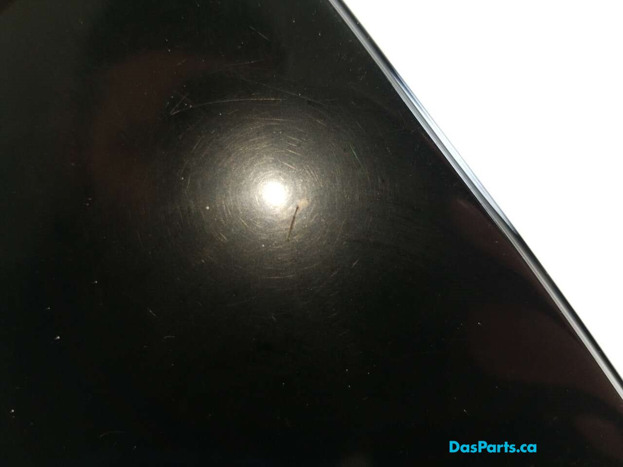 Door Applique LR Rearward