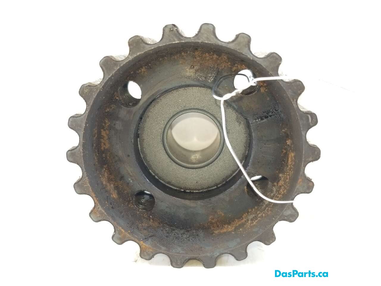 Timing Drive Gear