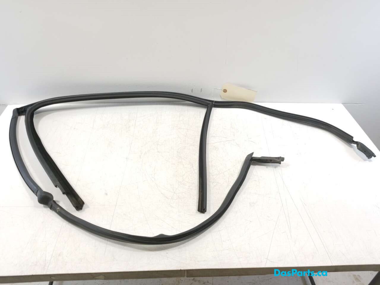 Window Seal RR