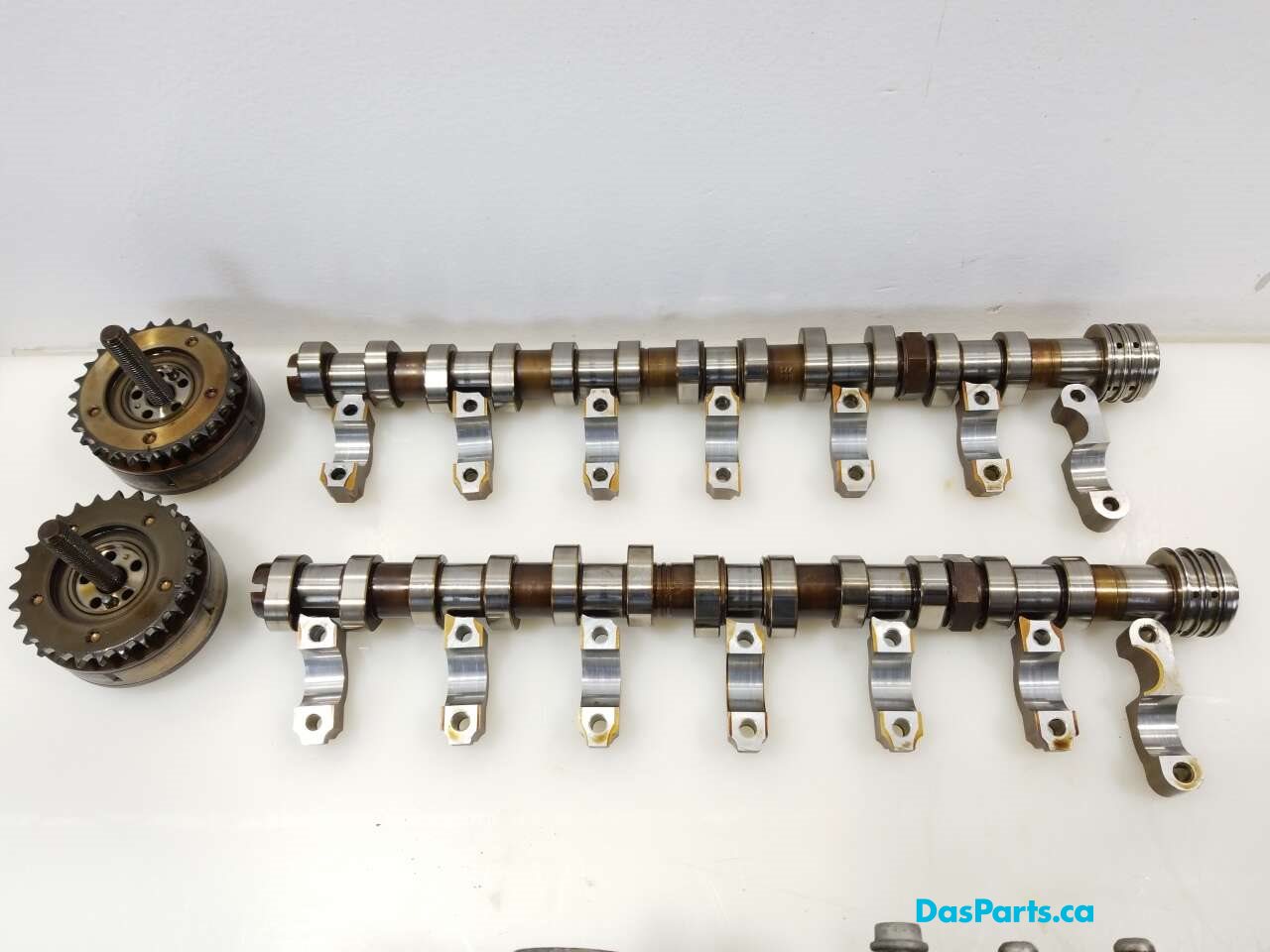 Engine Cylinder Head