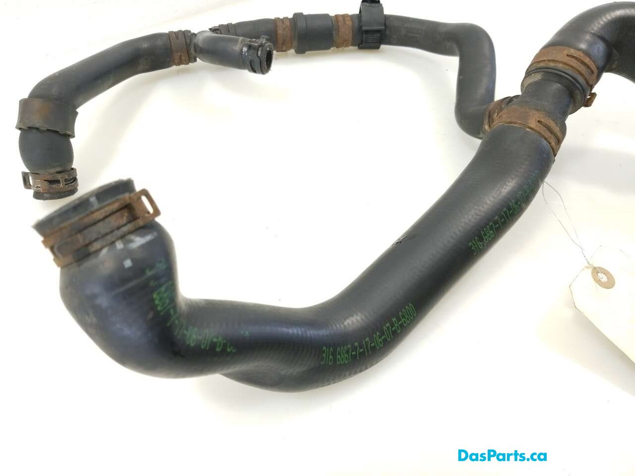 Lower Rad Hose