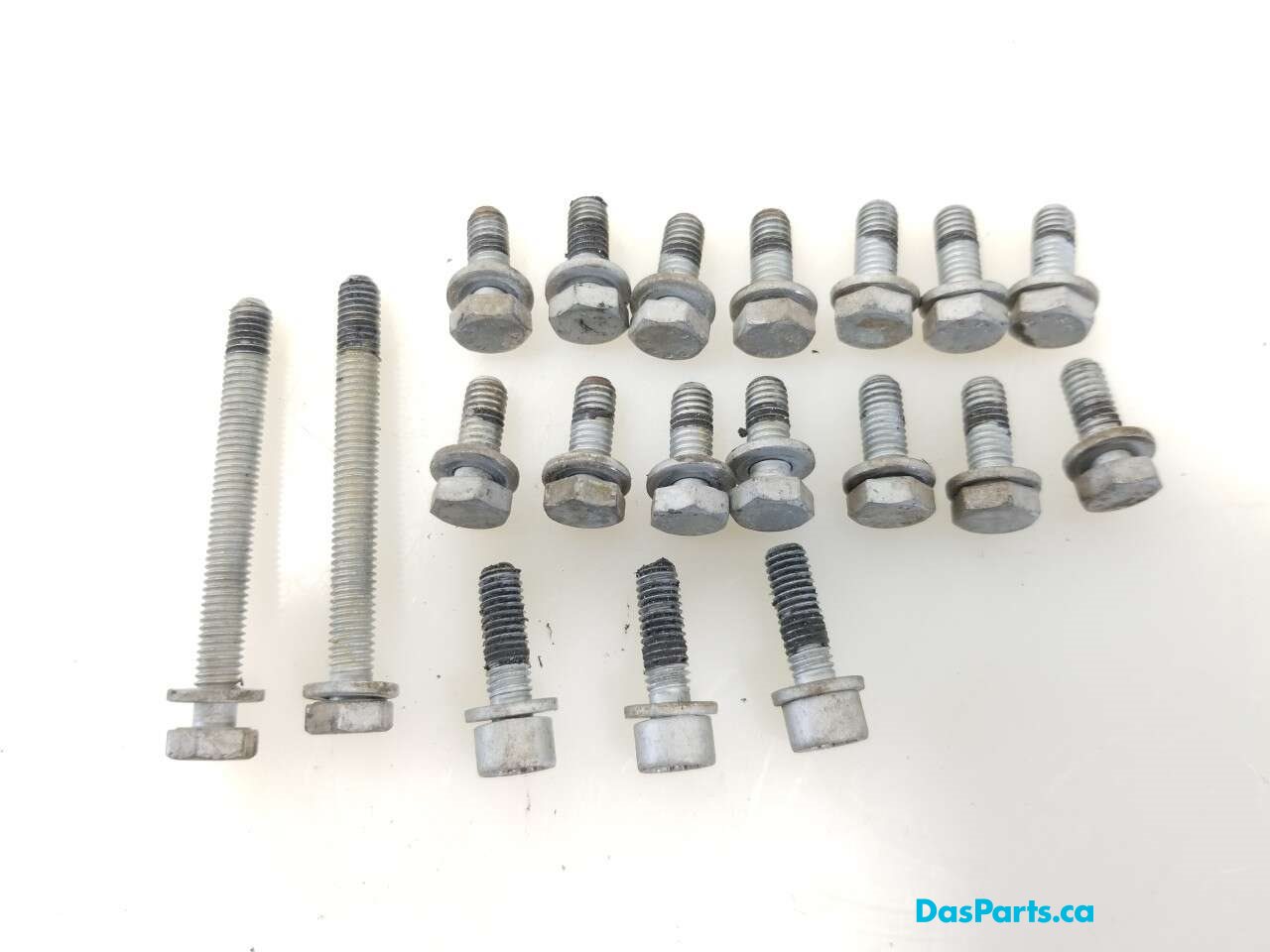 Lower Timing Cover Hardware