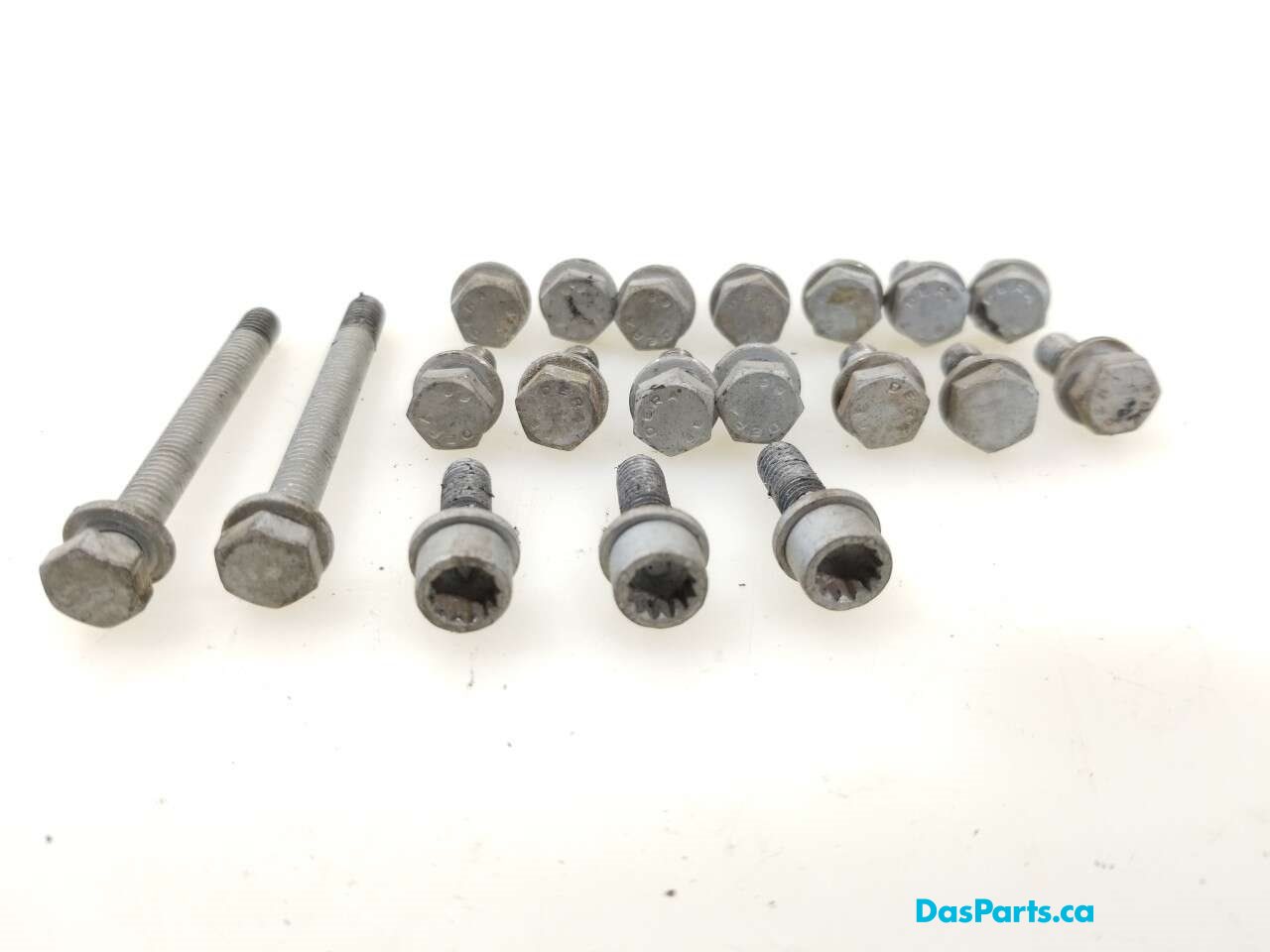 Lower Timing Cover Hardware