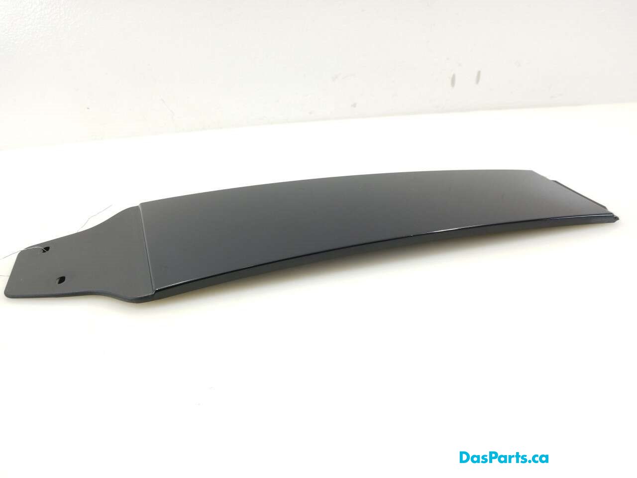 Exterior B-Pillar Trim LF