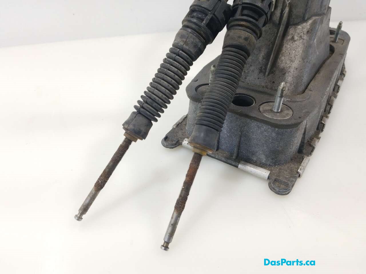 Shifter Box Assembly