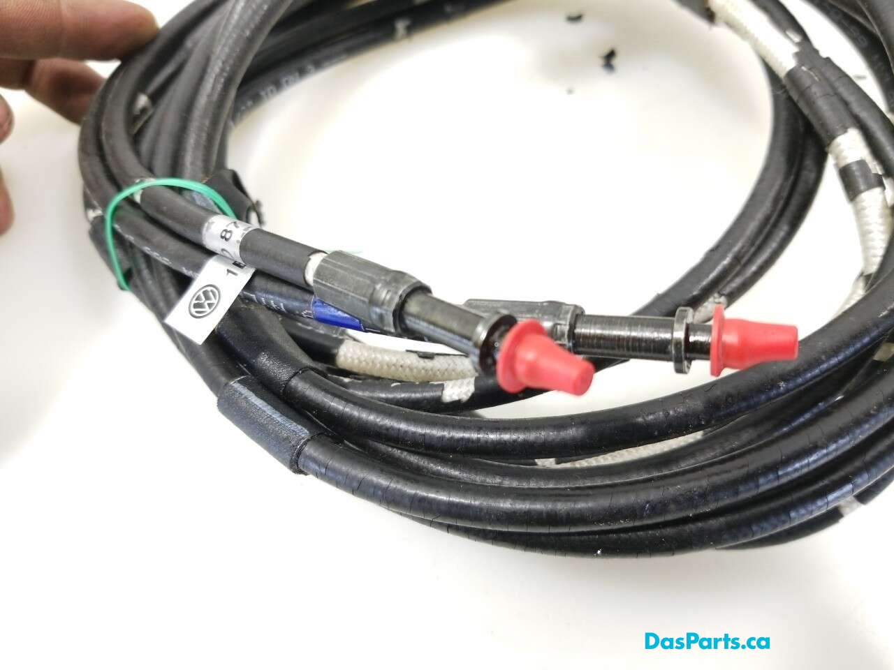 Convertible Roof Strut R