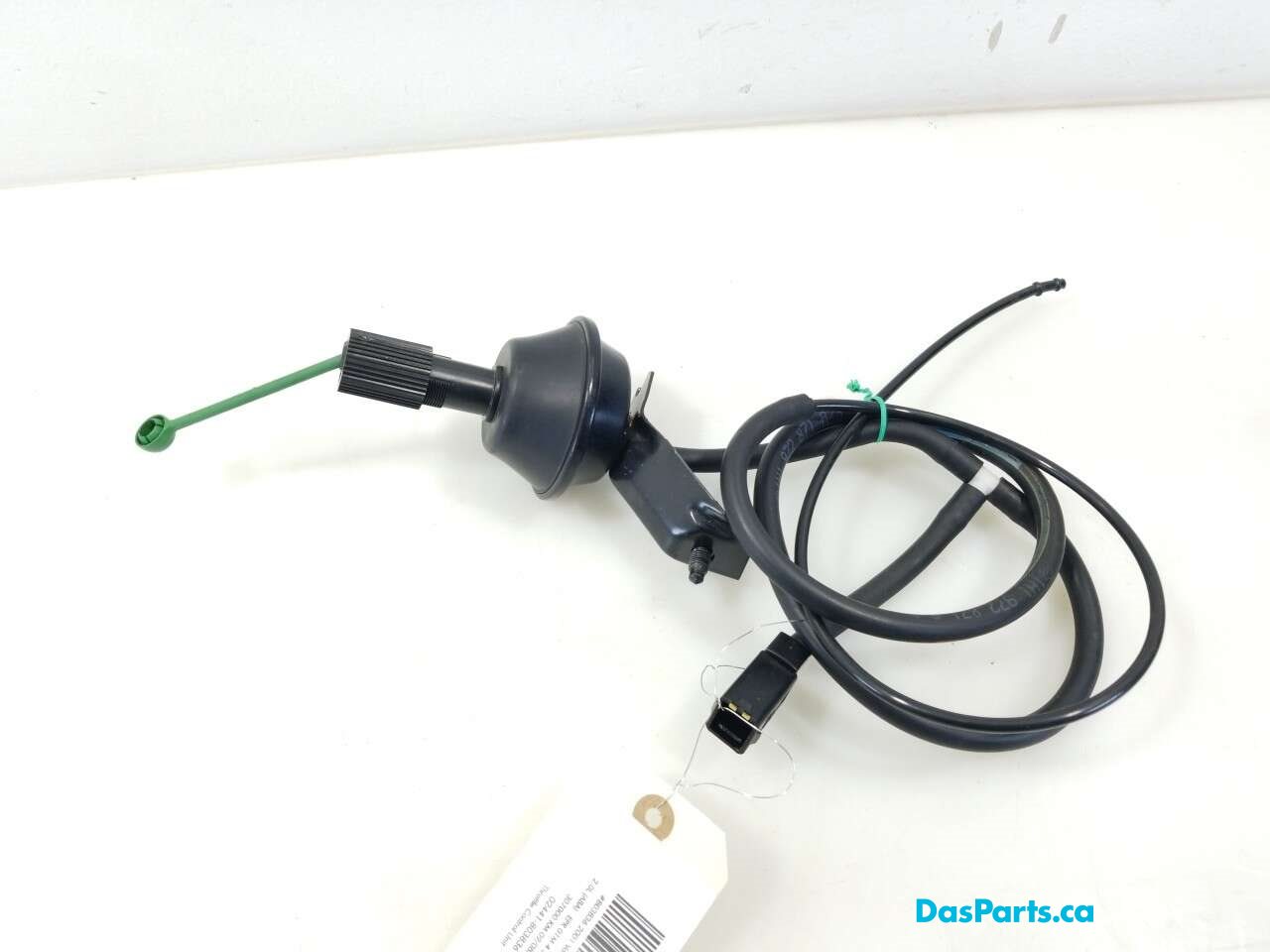 Throttle Control Unit