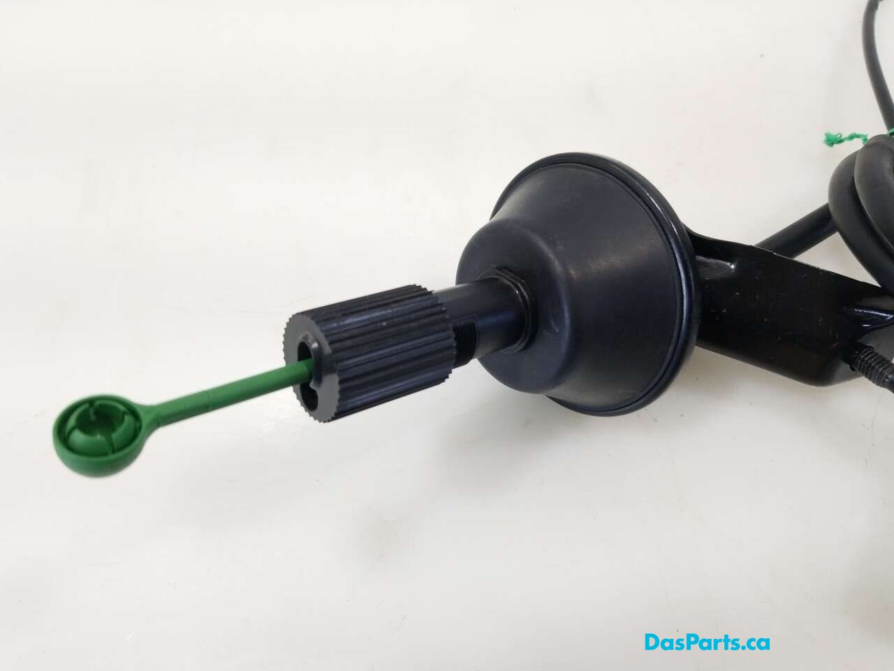 Throttle Control Unit