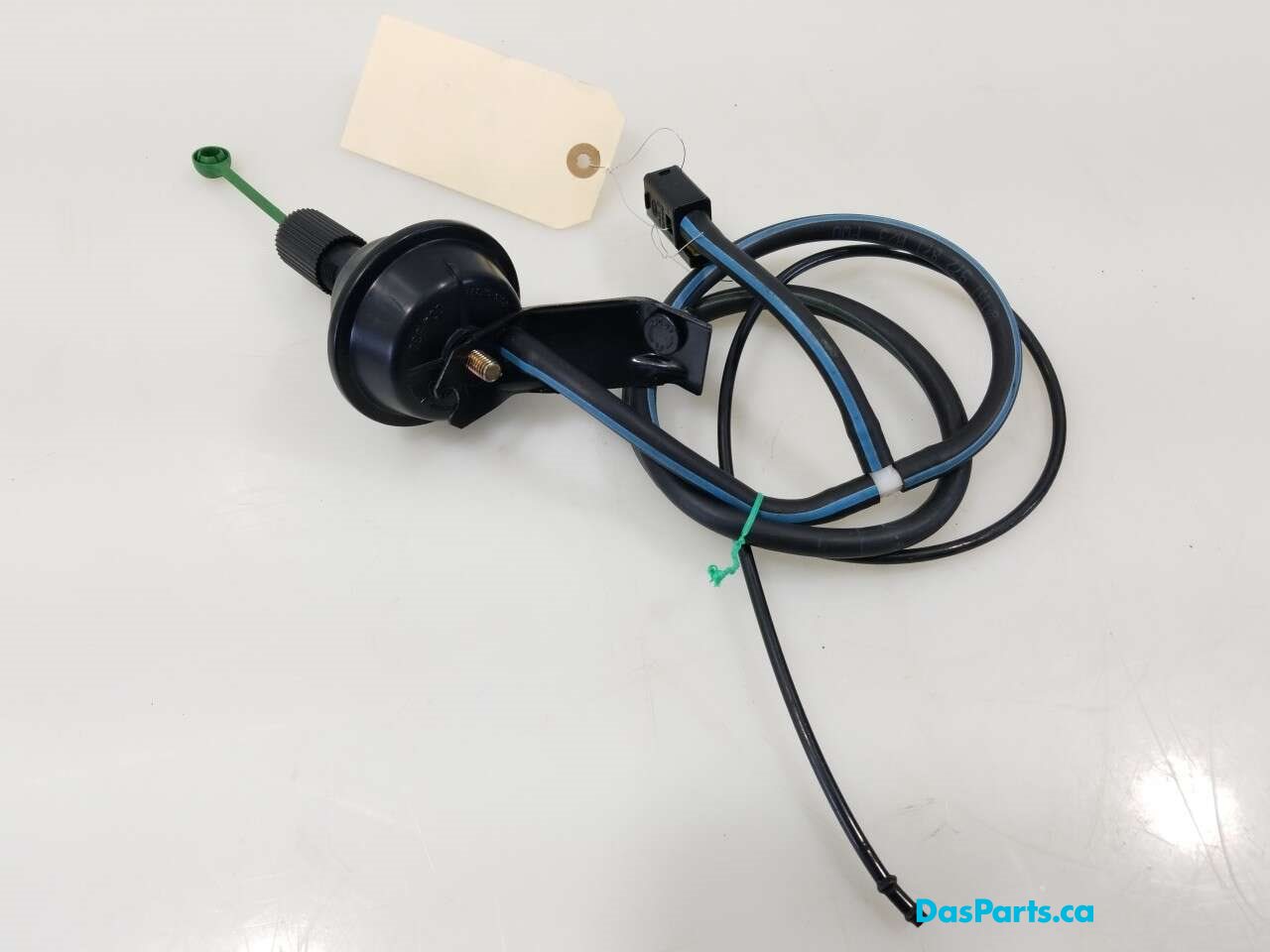 Throttle Control Unit