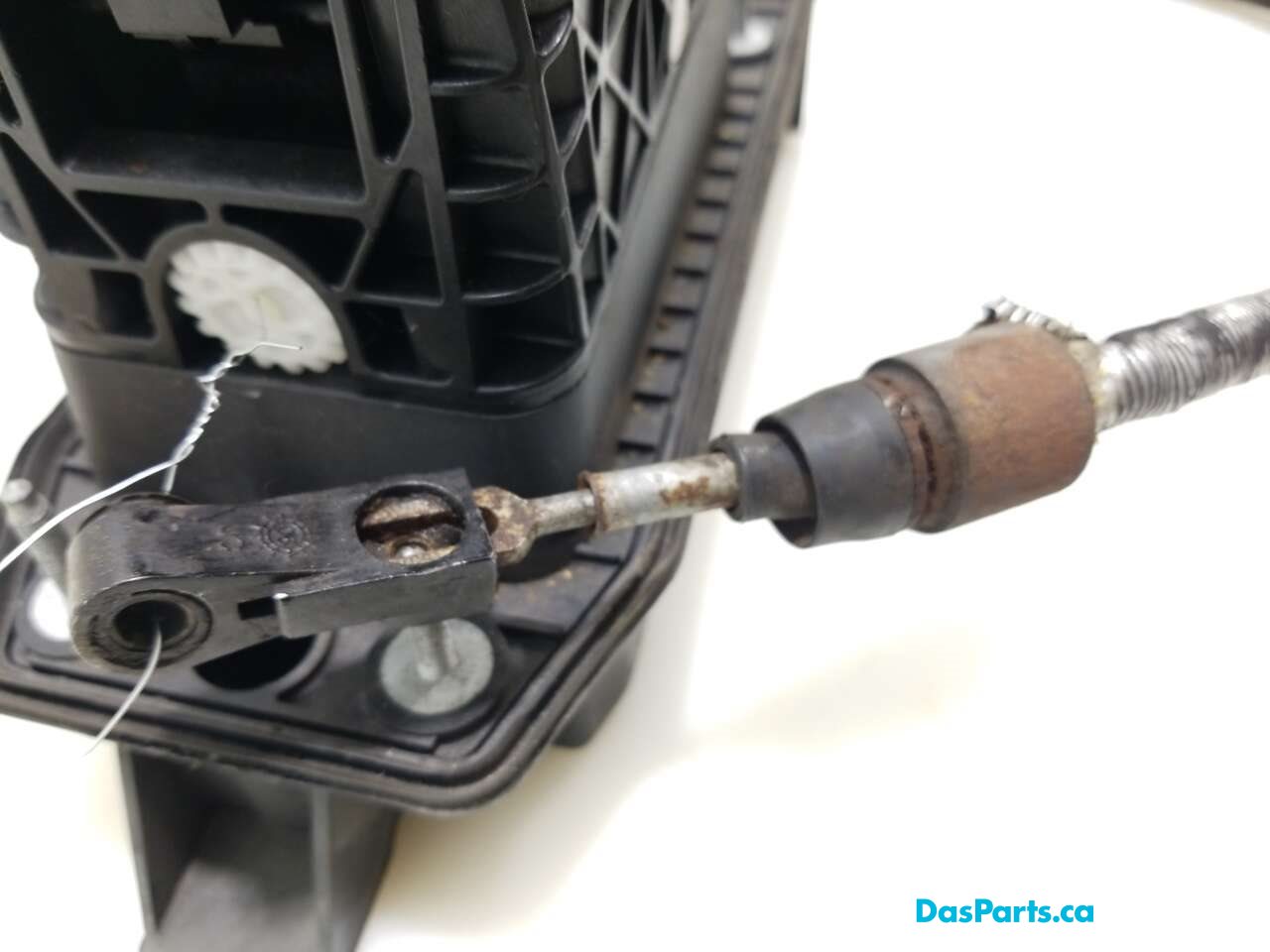 Gear Selector Assembly