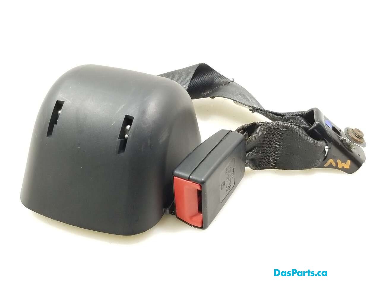 Seat Belt Middle Rear