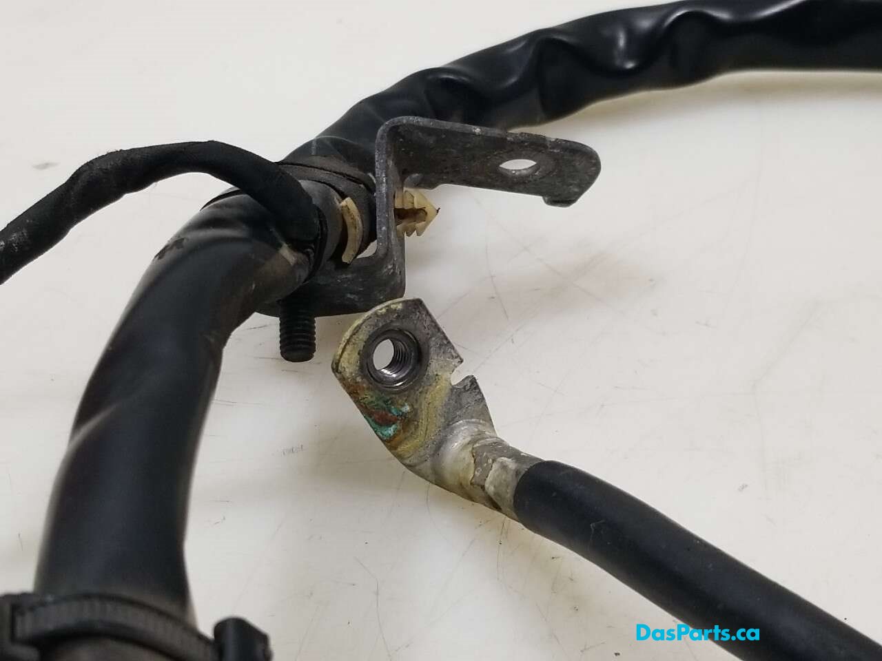 Alternator Harness