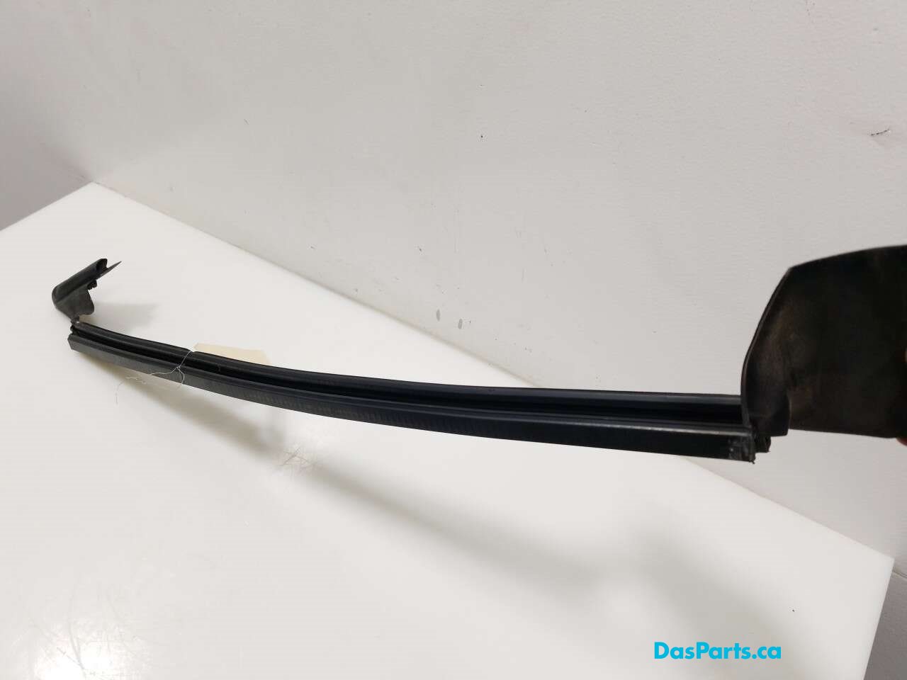 Window Seal RR