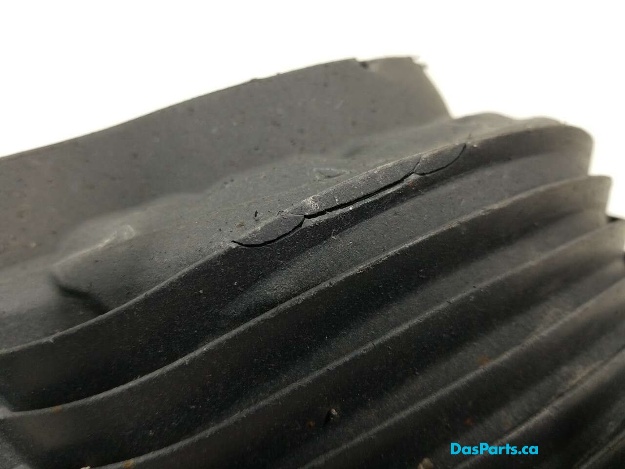 Spring Stone Guard RR