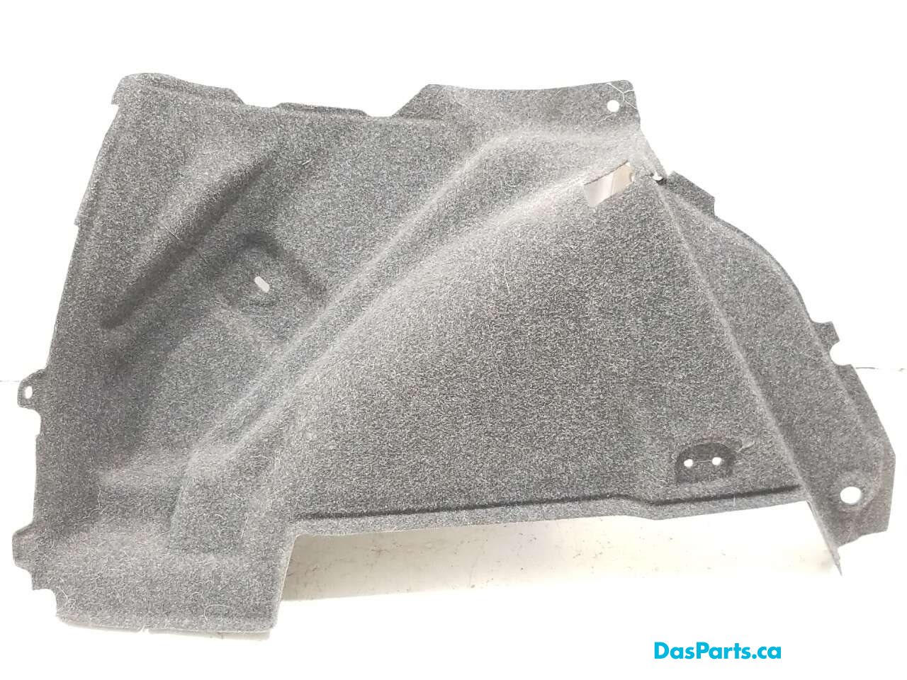 Trunk Carpet Left Side