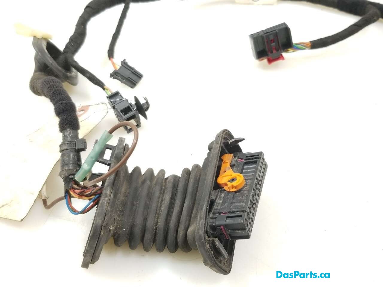 Door Harness LF 1