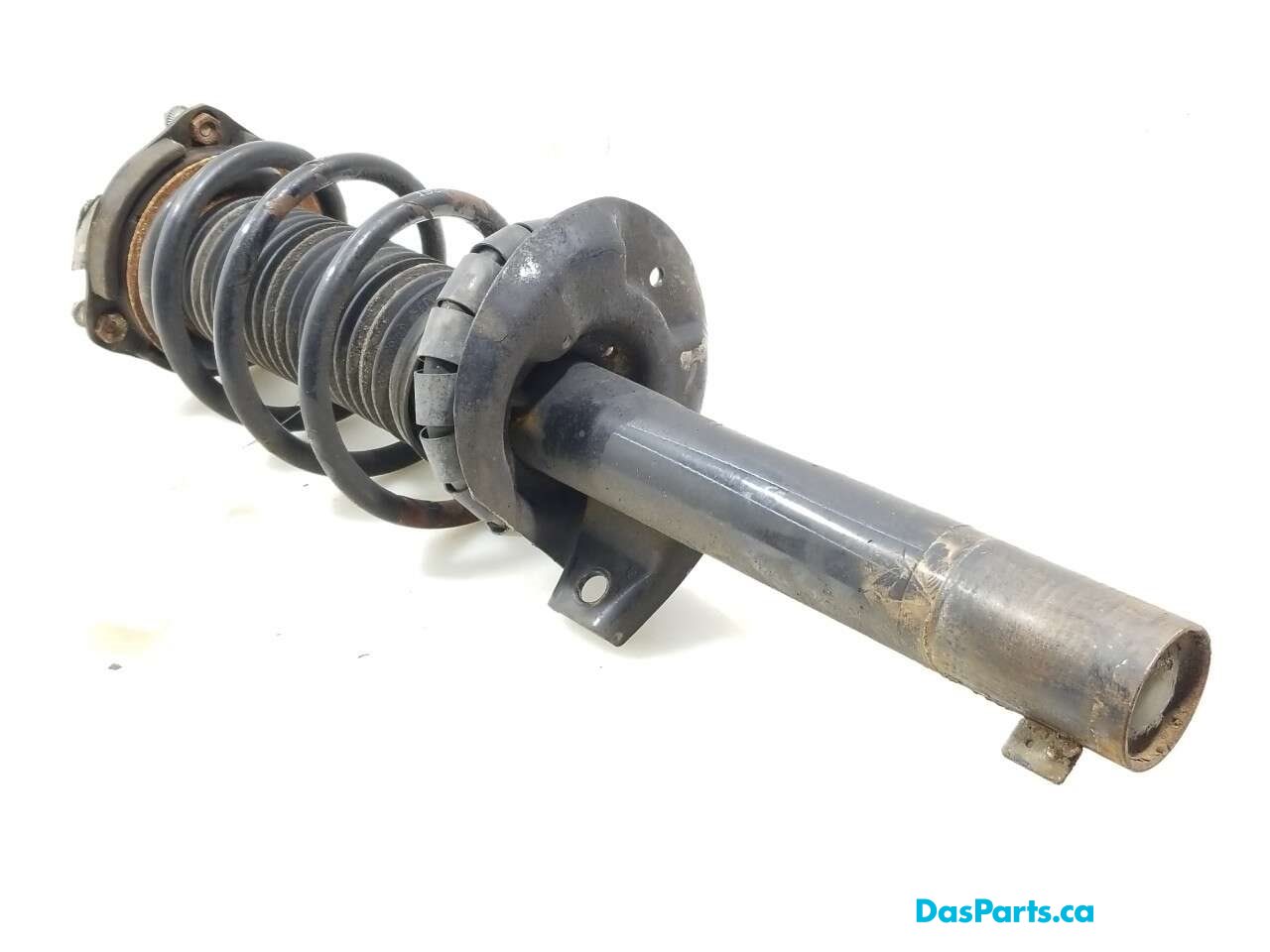 Strut Assembly RF