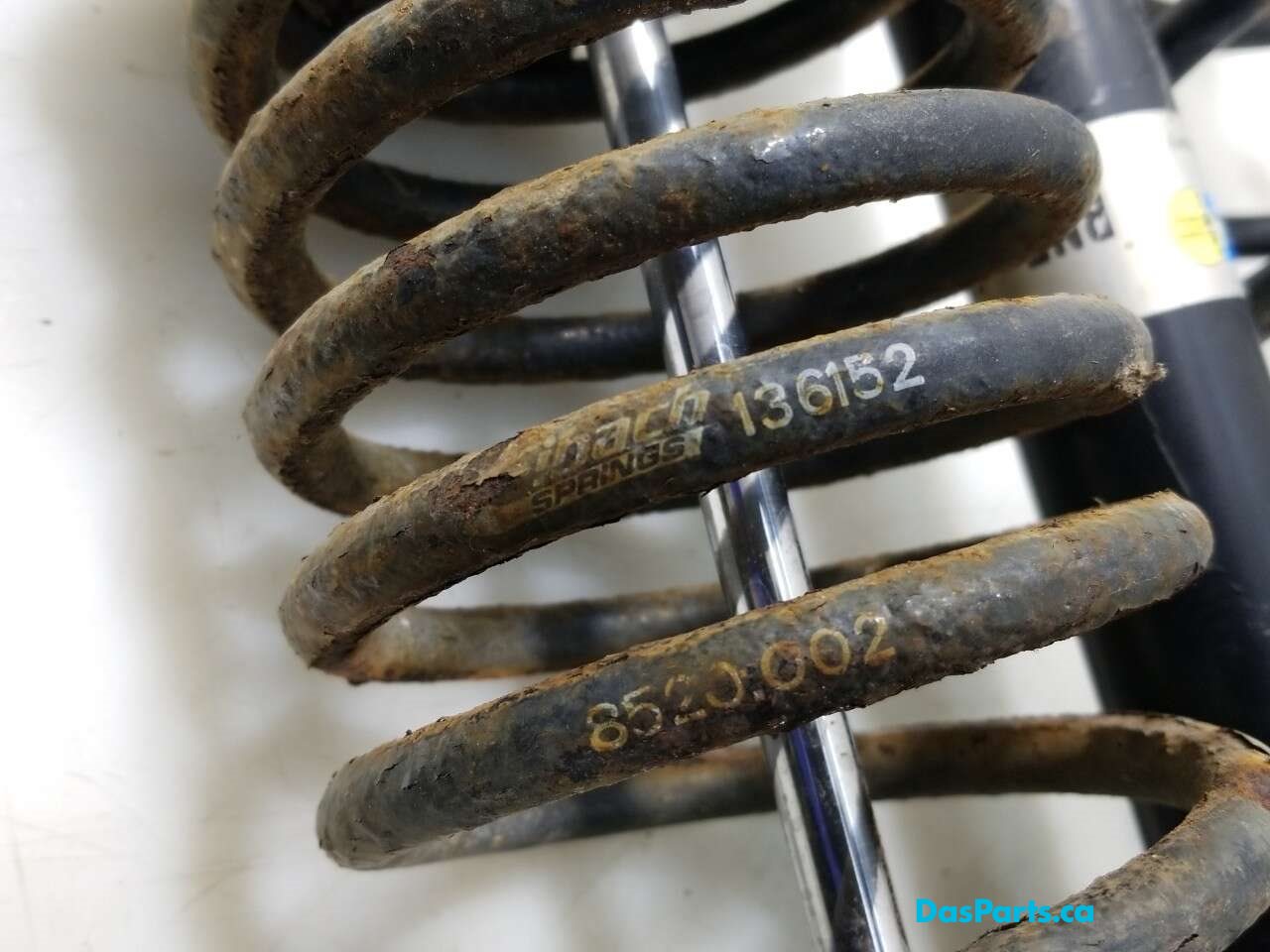 Spring and Strut Set of 4