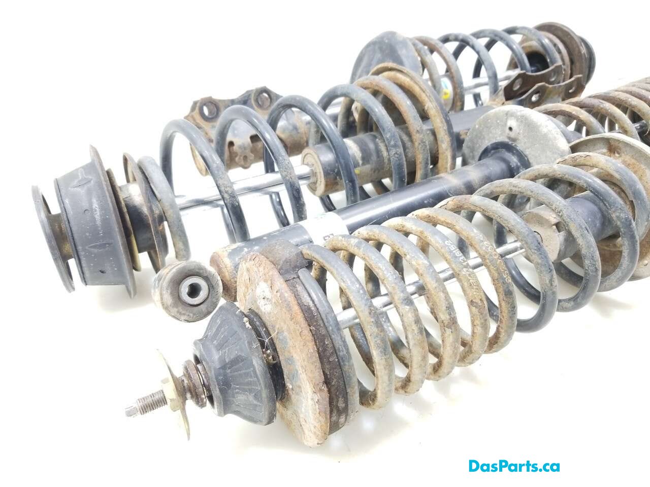 Spring and Strut Set of 4