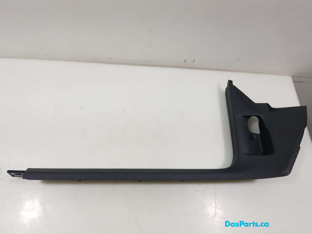 Lower Door Sill Trim LF