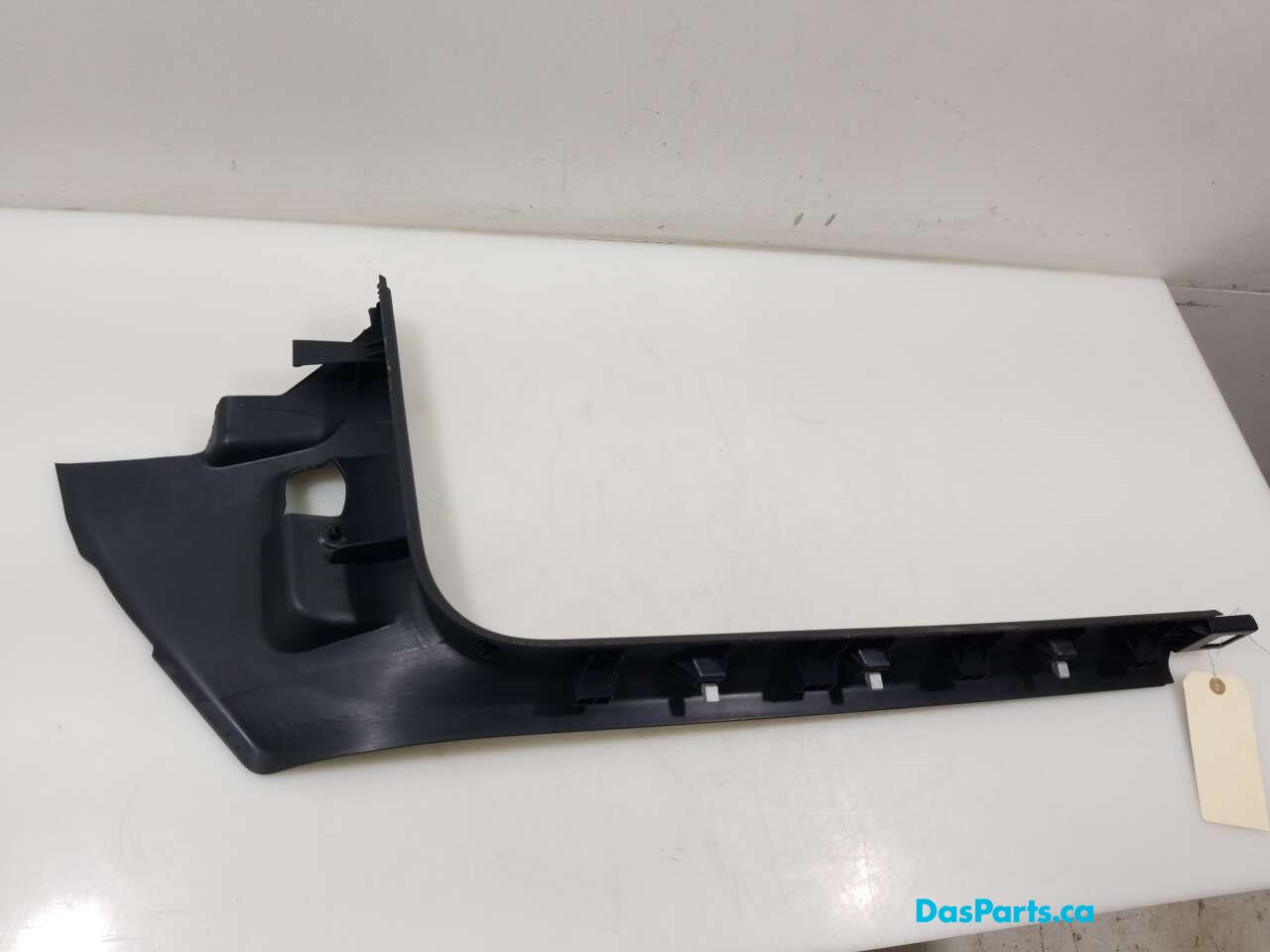 Lower Door Sill Trim LF