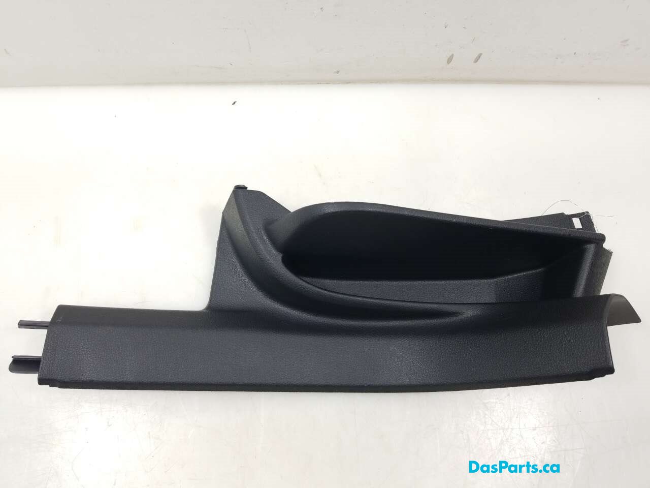 Lower Door Sill Trim LR
