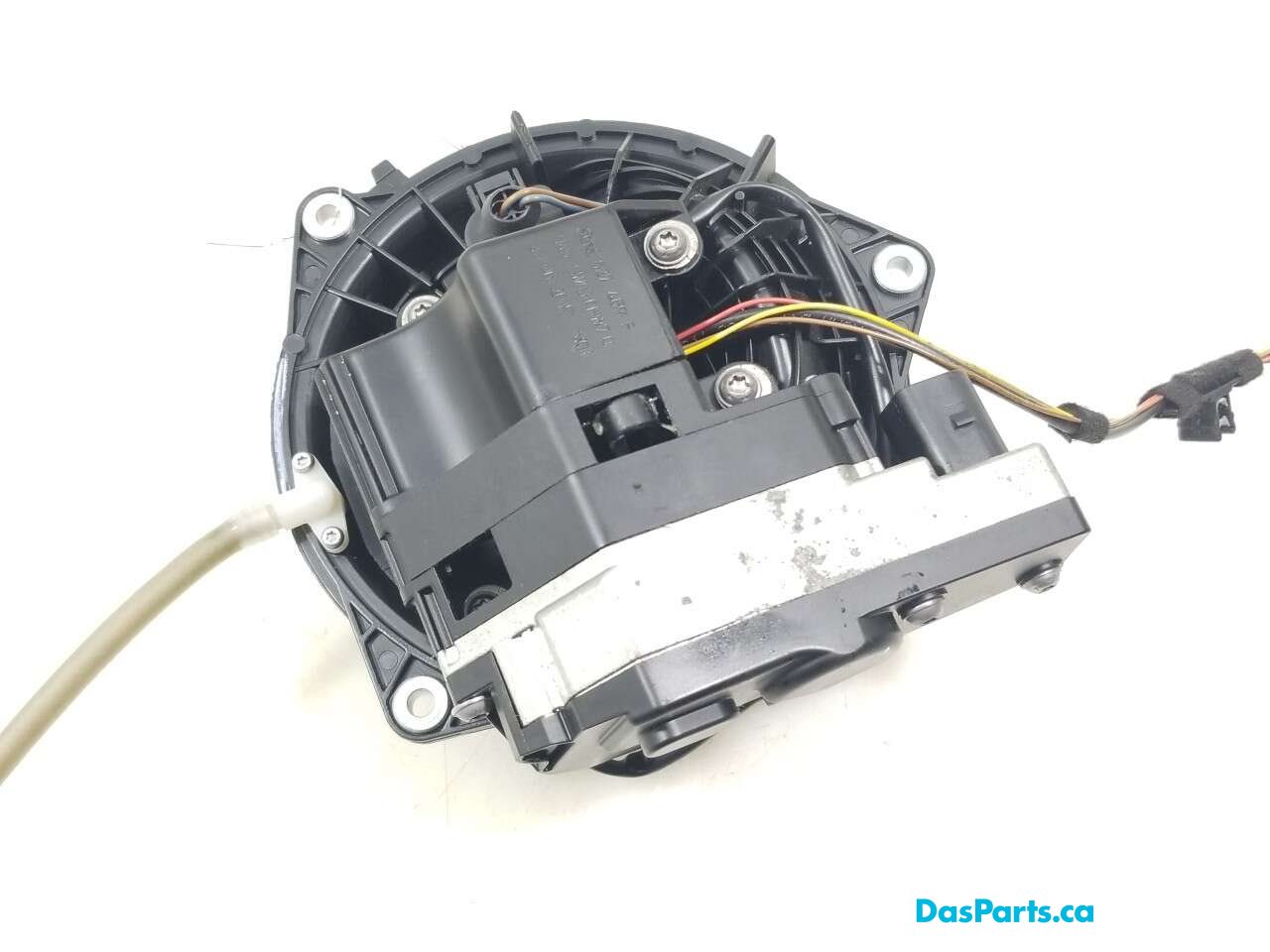 Trunk Release Handle