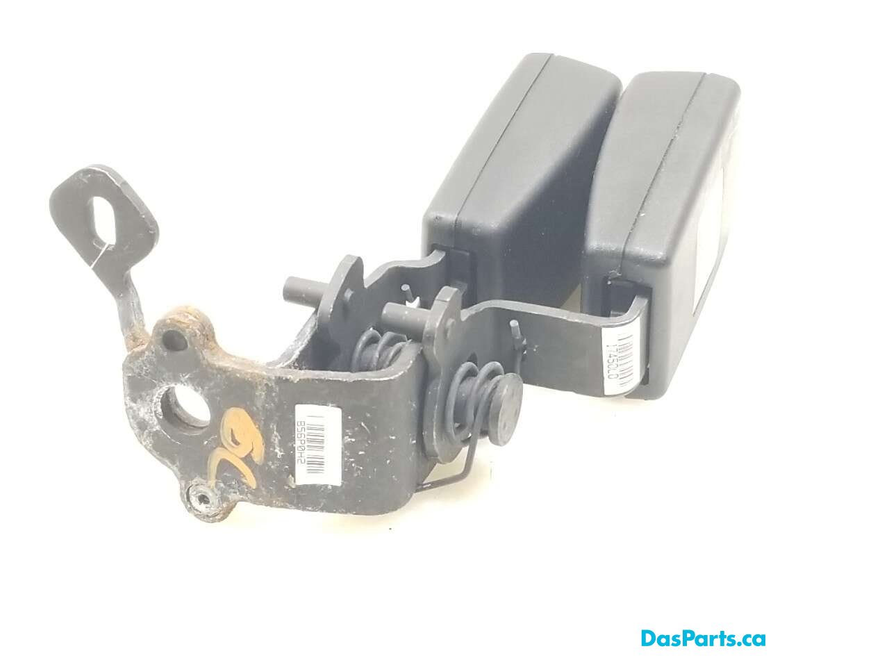 Seat Belt Buckle Rear Center