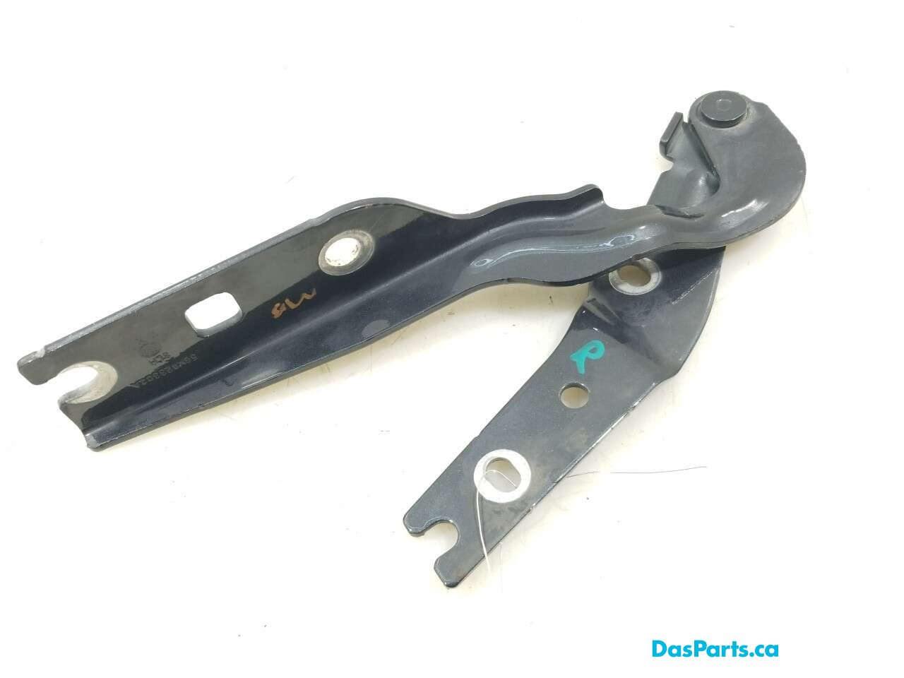 Hood Hinge R
