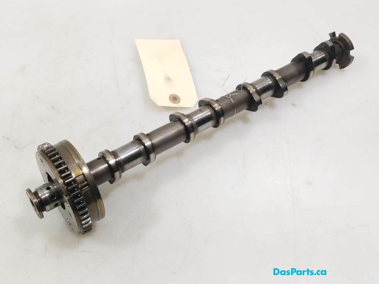 Exhaust Camshaft
