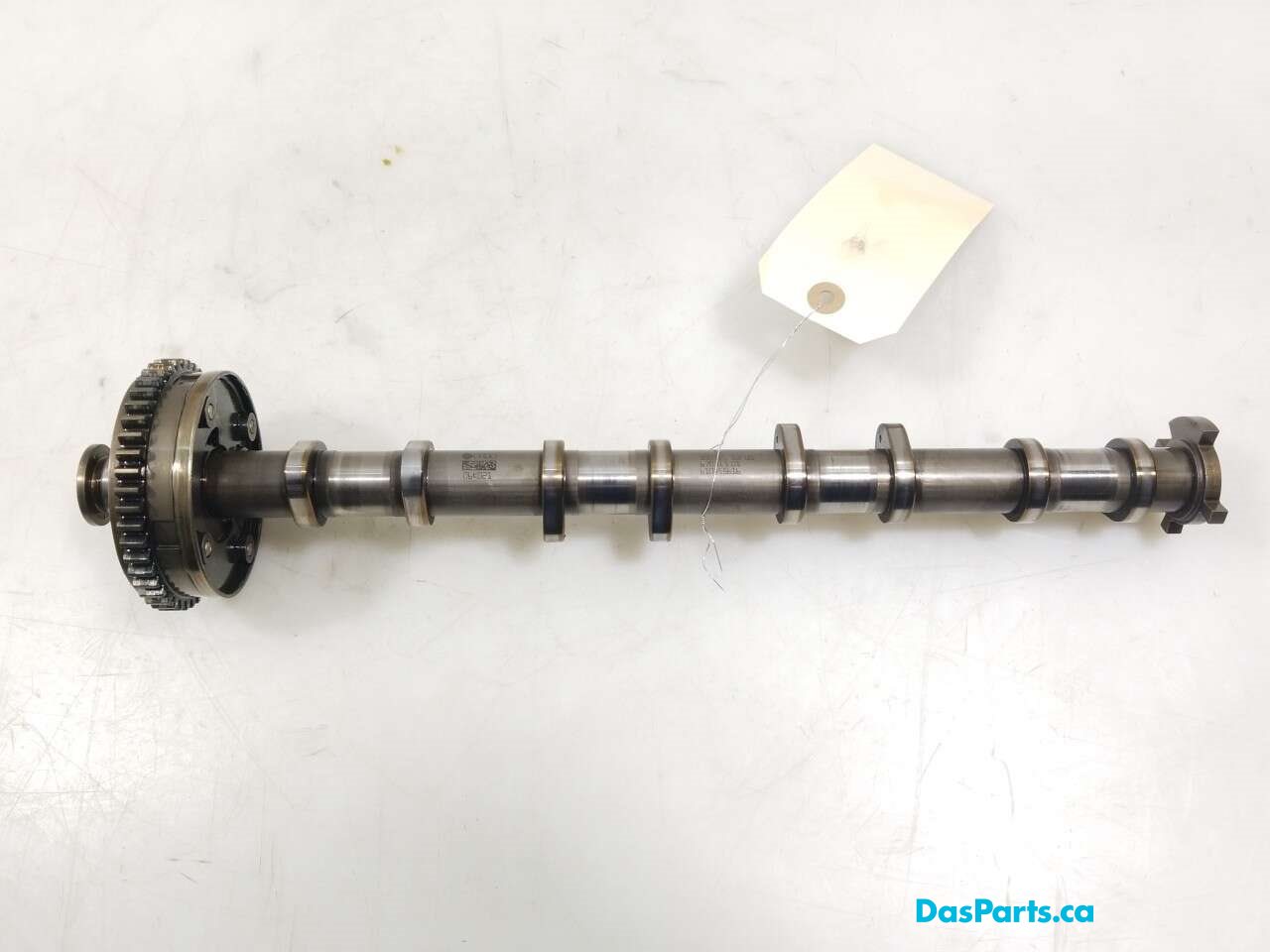 Exhaust Camshaft