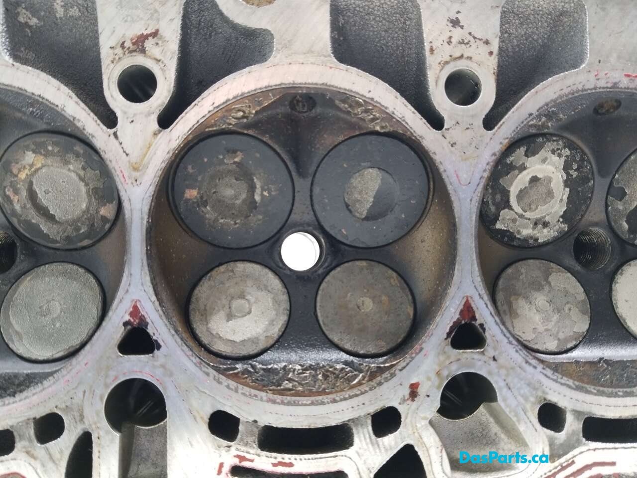 Engine Cylinder Head