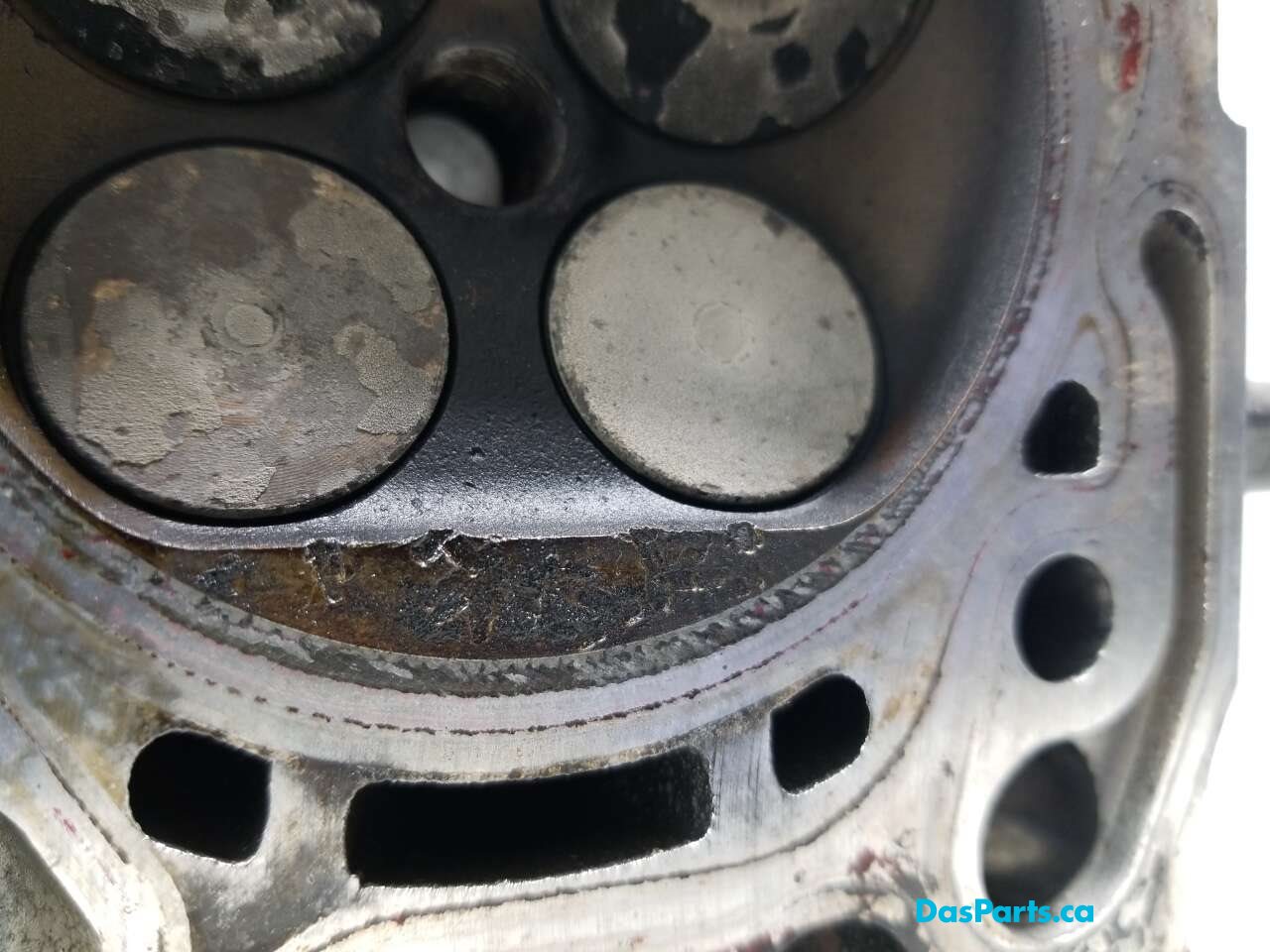 Engine Cylinder Head