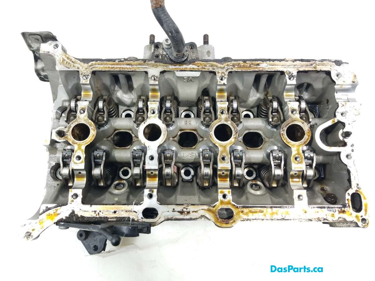 Engine Cylinder Head