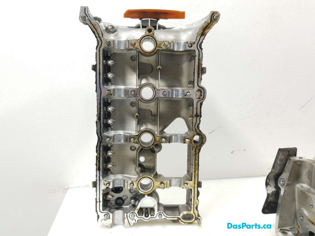 Engine Cylinder Head