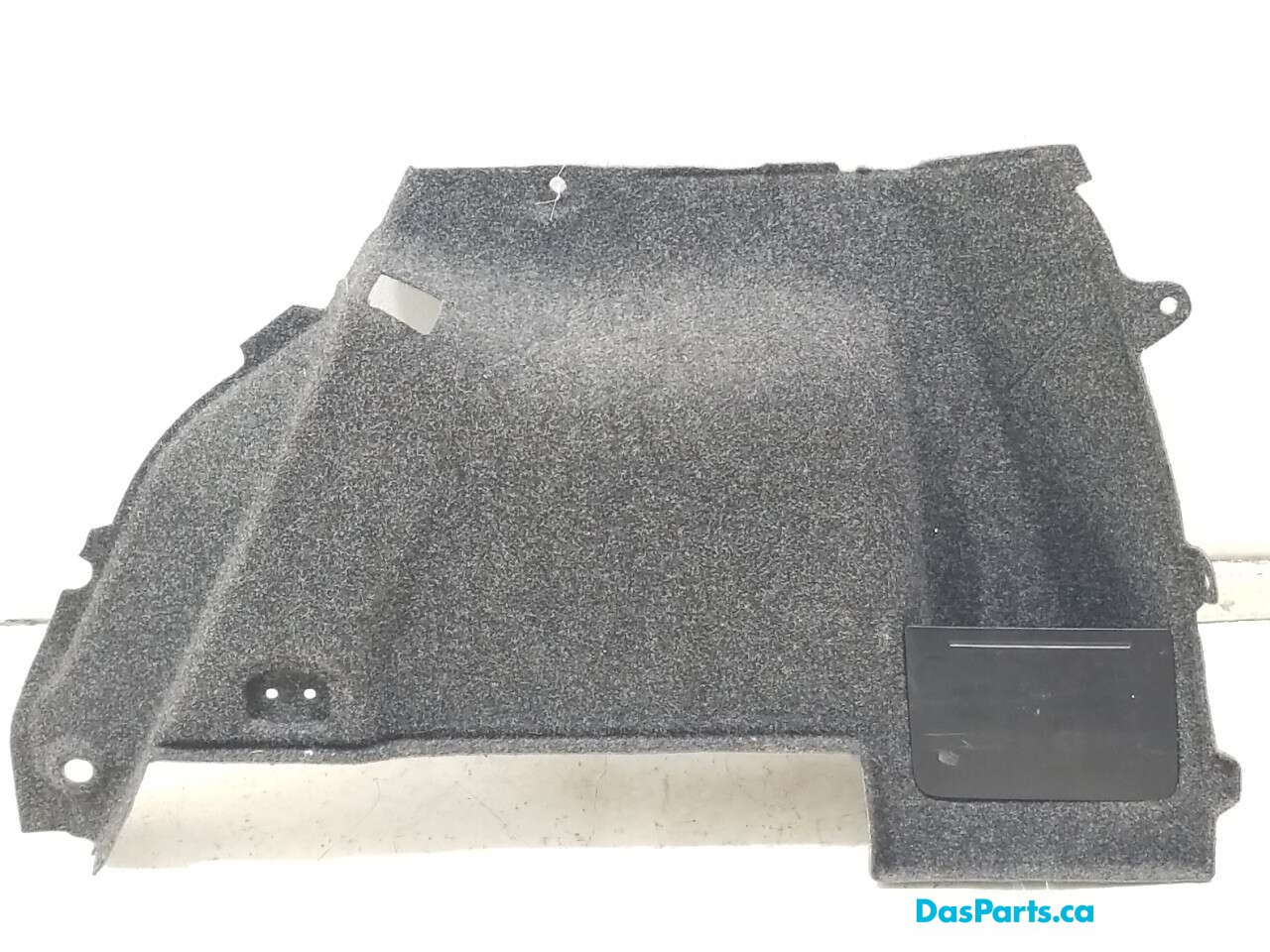 Trunk Carpet Right Side