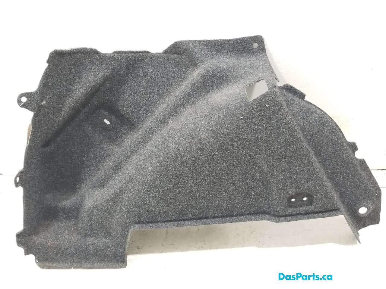 Trunk Carpet Left Side