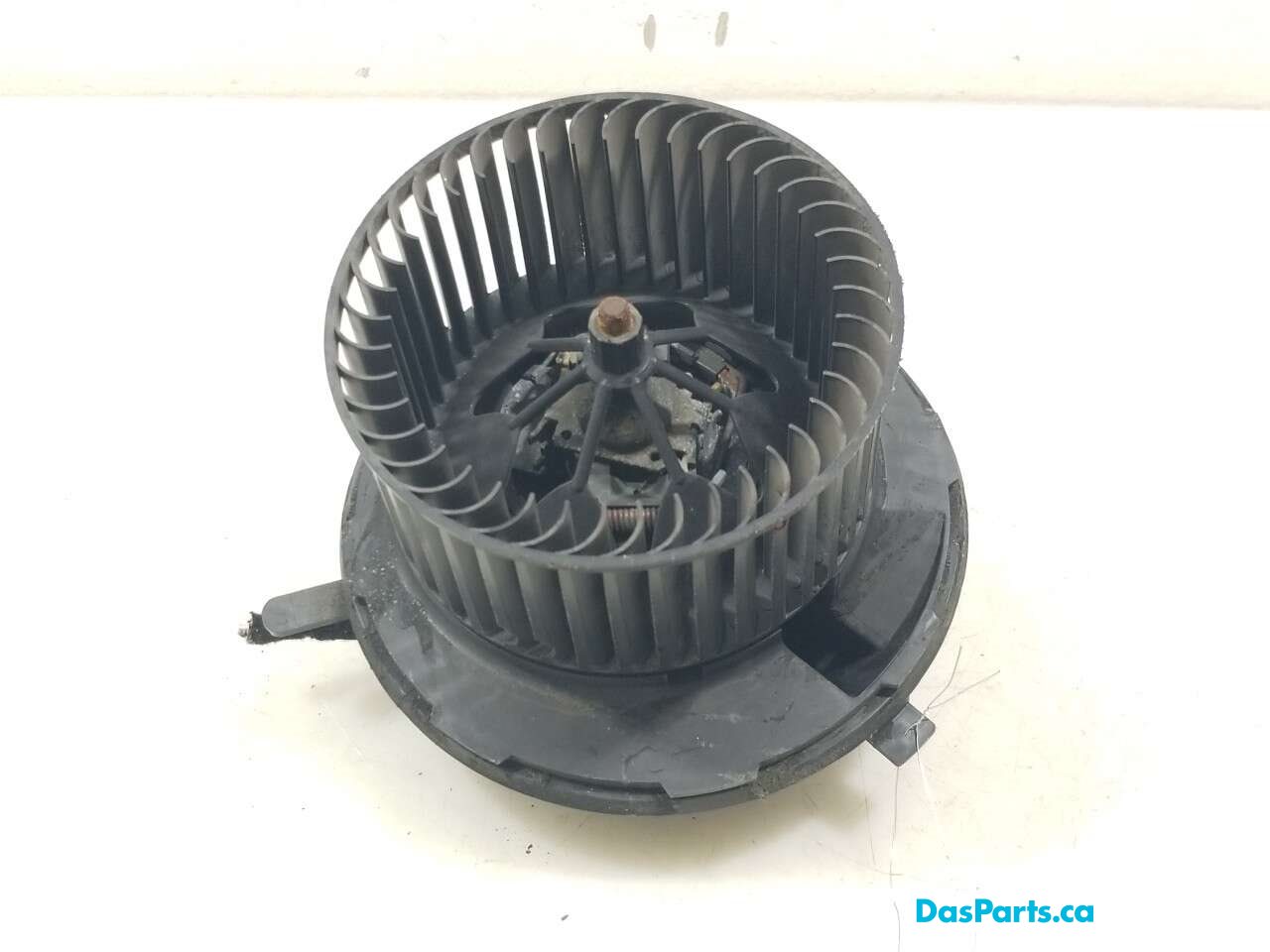 Blower Motor