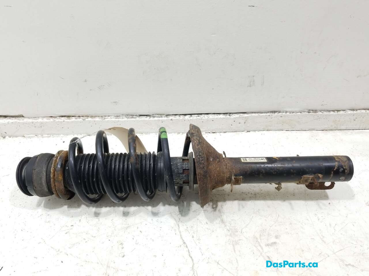 Strut Assembly RF