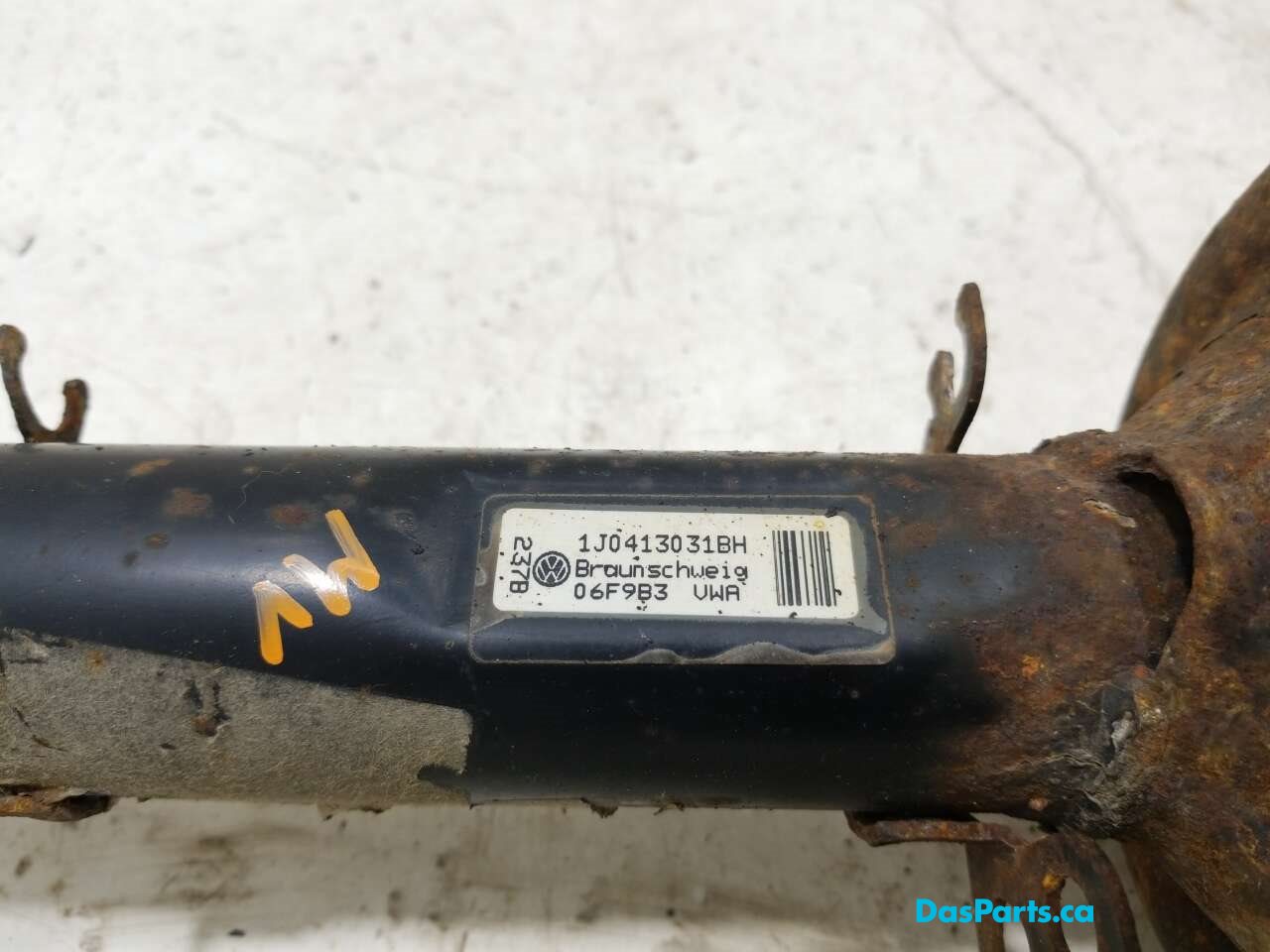 Strut Assembly RF