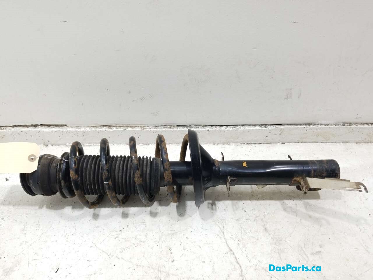 Strut Assembly LF
